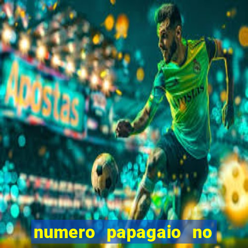 numero papagaio no jogo do bicho